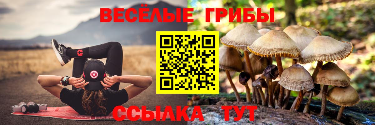 Галлюциногенные грибы Magic Shrooms  Галлюциногенные грибы Psilocybe  Михайловка  Вход с VPN 